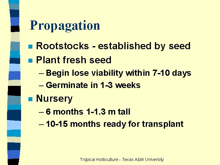 Propagation n n Rootstocks - established by seed Plant fresh seed – Begin lose