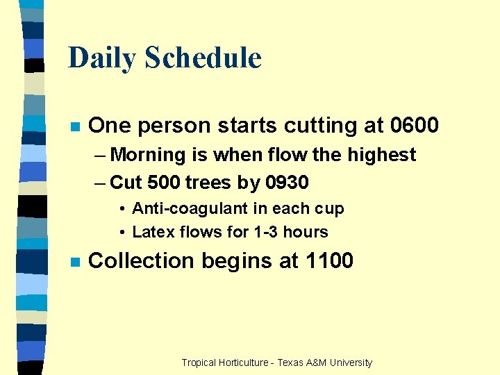 Daily Schedule n One person starts cutting at 0600 – Morning is when flow