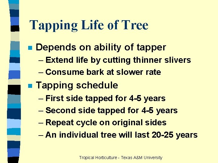 Tapping Life of Tree n Depends on ability of tapper – Extend life by