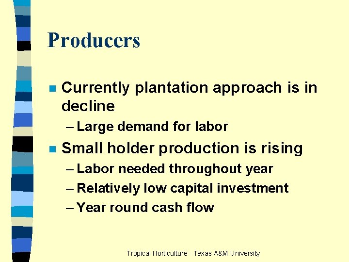 Producers n Currently plantation approach is in decline – Large demand for labor n