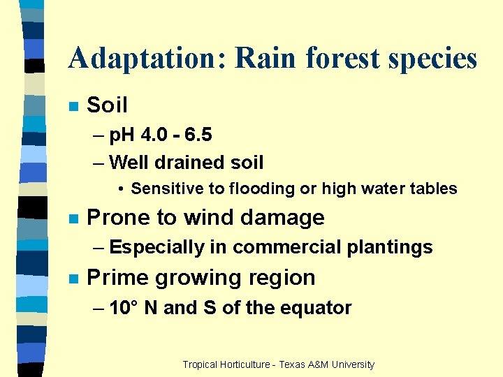 Adaptation: Rain forest species n Soil – p. H 4. 0 - 6. 5