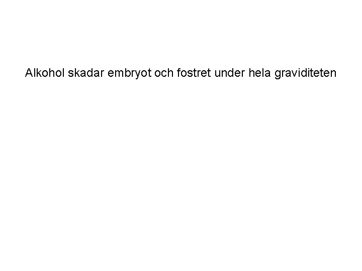 Alkohol skadar embryot och fostret under hela graviditeten 