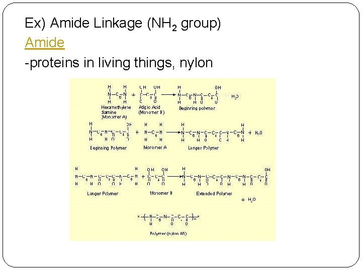 Ex) Amide Linkage (NH 2 group) Amide -proteins in living things, nylon 