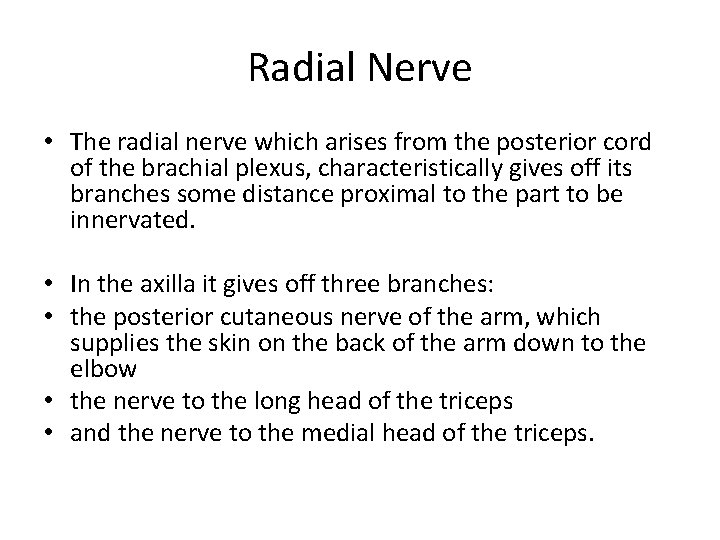 Radial Nerve • The radial nerve which arises from the posterior cord of the