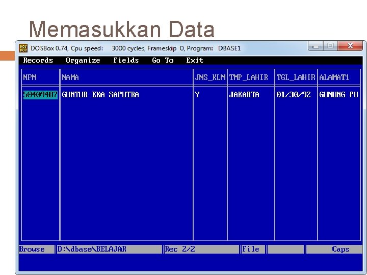 Memasukkan Data 