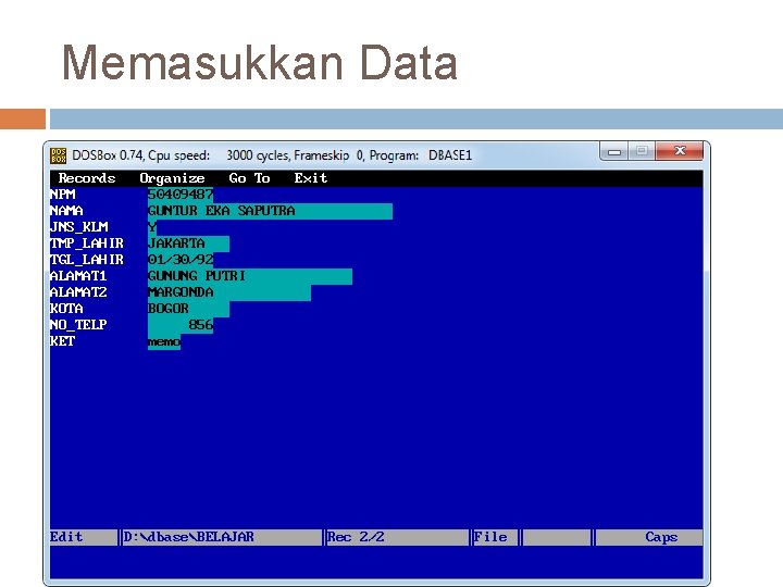 Memasukkan Data 