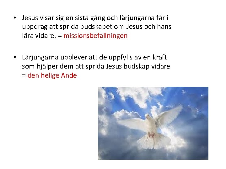  • Jesus visar sig en sista gång och lärjungarna får i uppdrag att