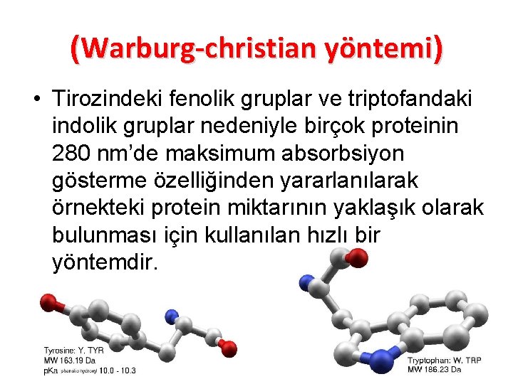 (Warburg-christian yöntemi) • Tirozindeki fenolik gruplar ve triptofandaki indolik gruplar nedeniyle birçok proteinin 280
