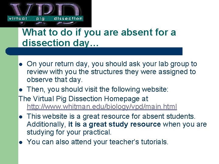 What to do if you are absent for a dissection day… On your return