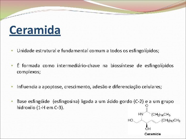 Ceramida • Unidade estrutural e fundamental comum a todos os esfingolípidos; • É formada