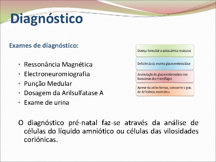 Diagnóstico Exames de diagnóstico: • Ressonância Magnética • Electroneuromiografia • Punção Medular • Dosagem