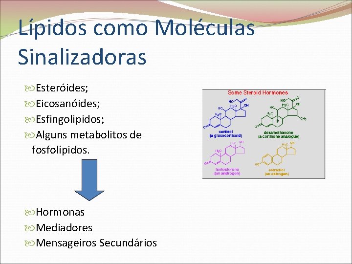 Lípidos como Moléculas Sinalizadoras Esteróides; Eicosanóides; Esfingolipidos; Alguns metabolitos de fosfolípidos. Hormonas Mediadores Mensageiros