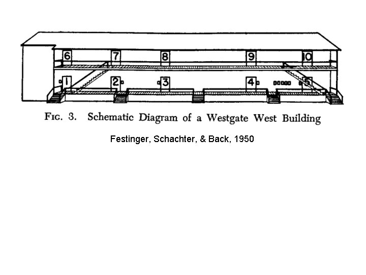 Festinger, Schachter, & Back, 1950 