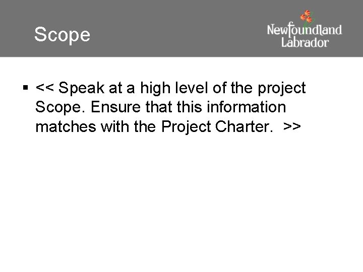 Scope § << Speak at a high level of the project Scope. Ensure that