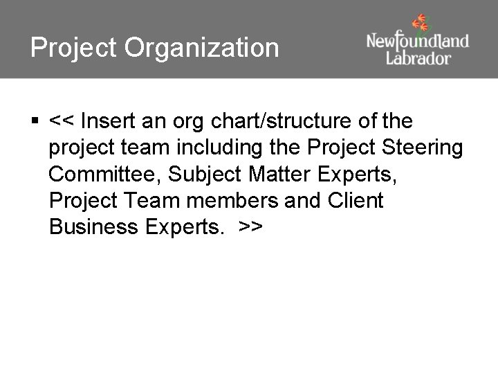 Project Organization § << Insert an org chart/structure of the project team including the