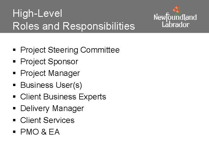 High-Level Roles and Responsibilities § § § § Project Steering Committee Project Sponsor Project