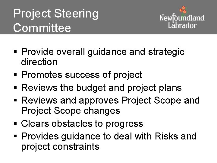 Project Steering Committee § Provide overall guidance and strategic direction § Promotes success of