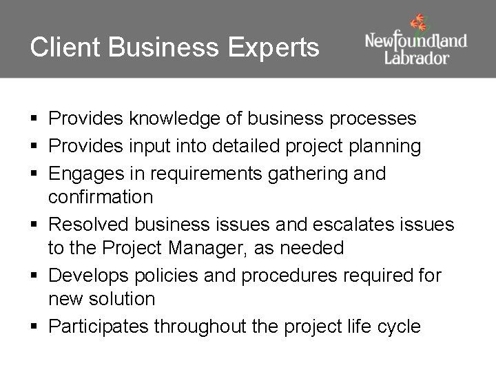 Client Business Experts § Provides knowledge of business processes § Provides input into detailed