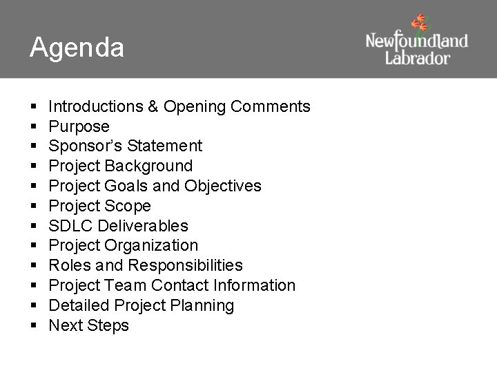 Agenda § § § Introductions & Opening Comments Purpose Sponsor’s Statement Project Background Project