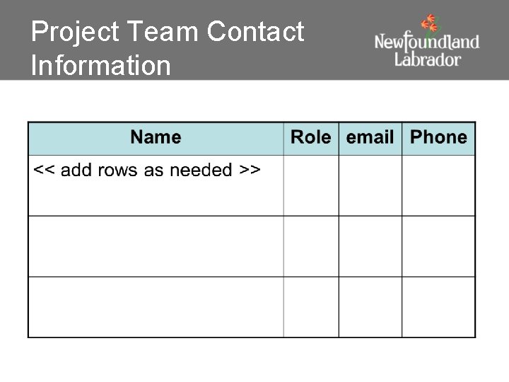 Project Team Contact Information 