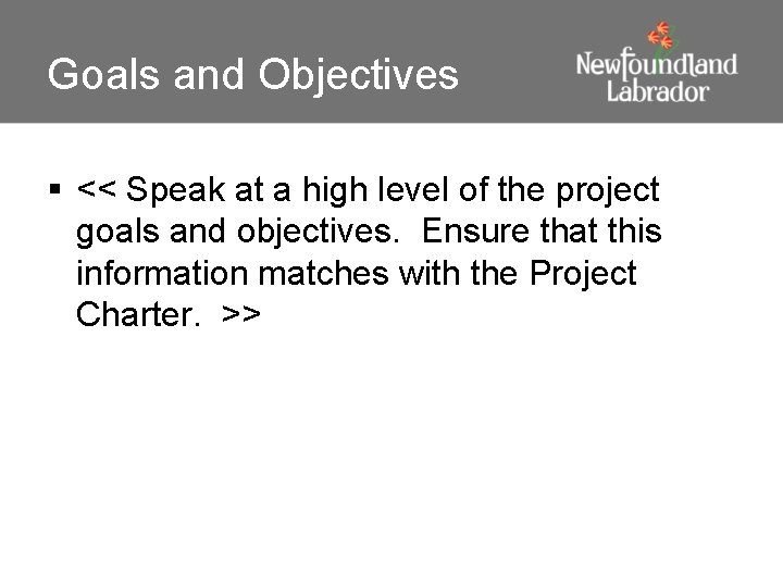 Goals and Objectives § << Speak at a high level of the project goals