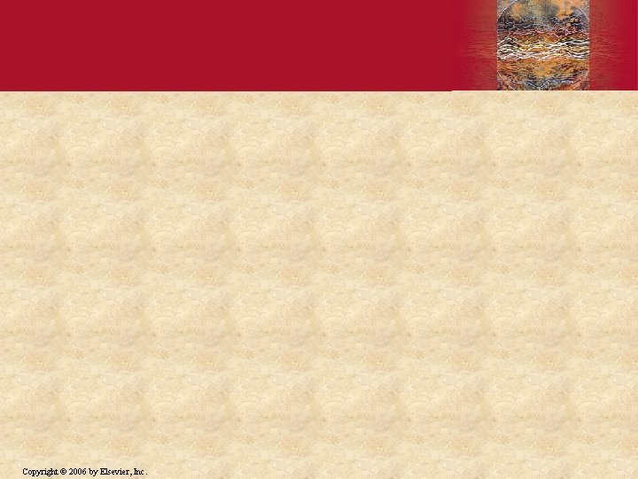 Copyright © 2006 by Elsevier, Inc. 