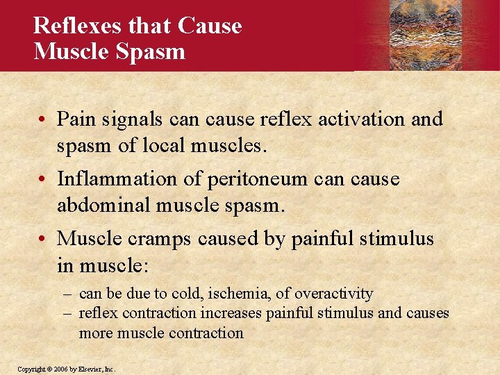 Reflexes that Cause Muscle Spasm • Pain signals can cause reflex activation and spasm