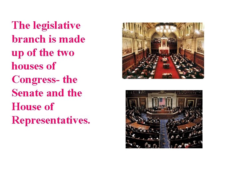 The legislative branch is made up of the two houses of Congress- the Senate