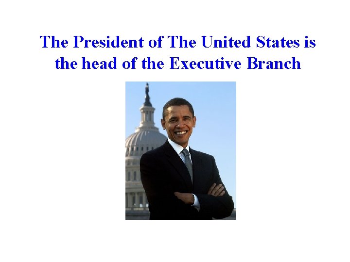 The President of The United States is the head of the Executive Branch 