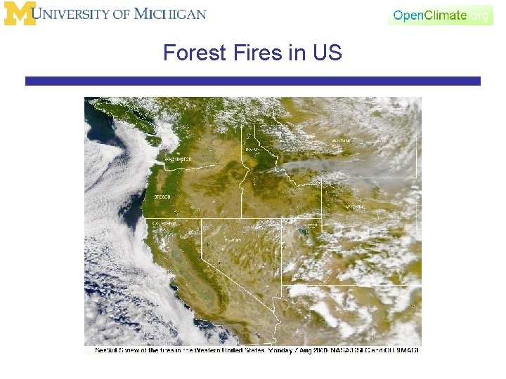 Forest Fires in US 