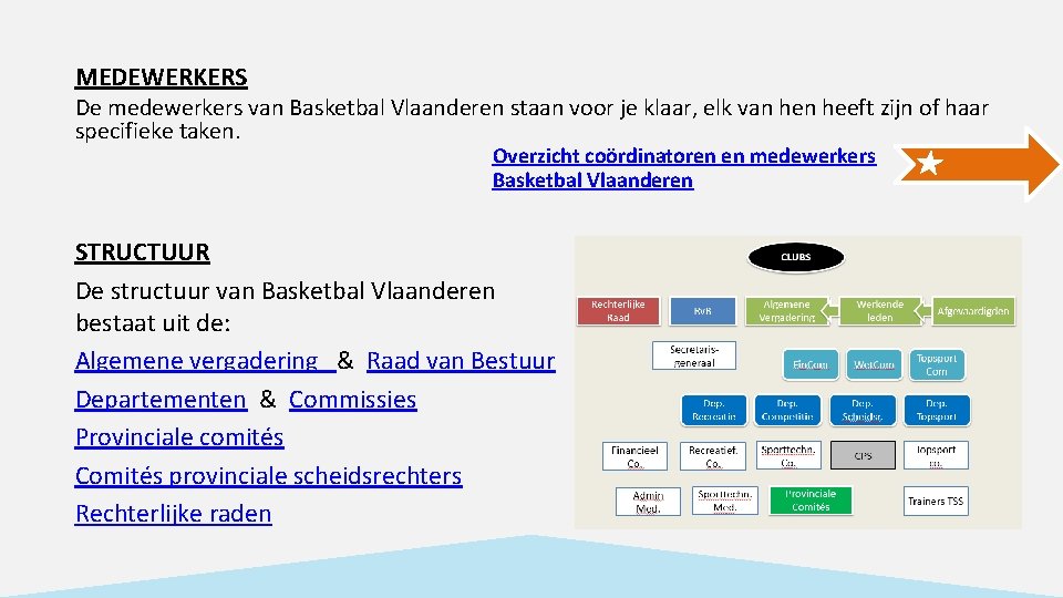 MEDEWERKERS De medewerkers van Basketbal Vlaanderen staan voor je klaar, elk van heeft zijn