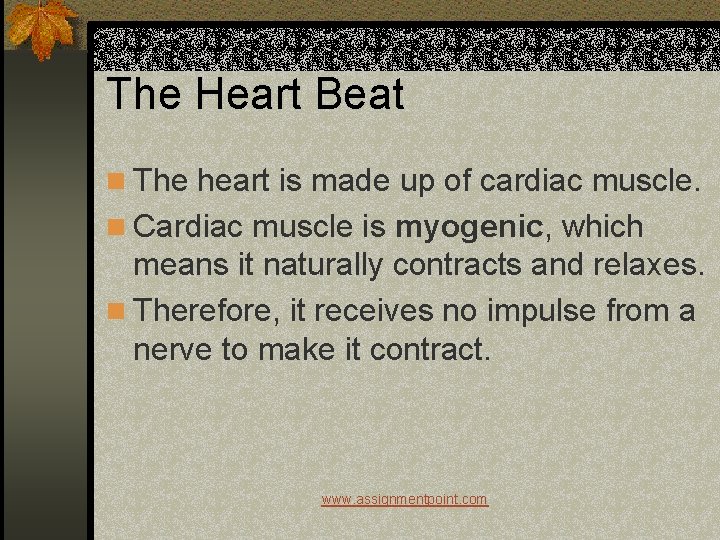 The Heart Beat n The heart is made up of cardiac muscle. n Cardiac