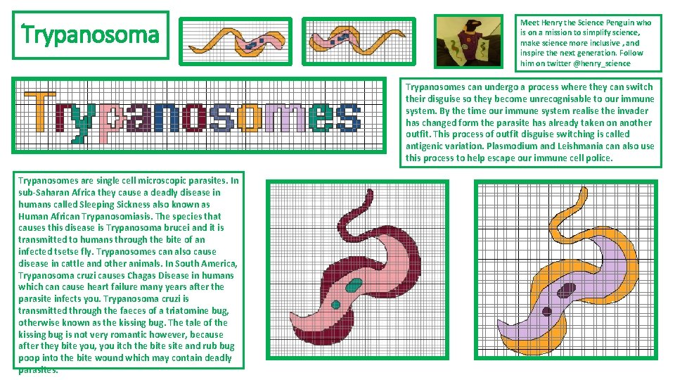Trypanosoma Meet Henry the Science Penguin who is on a mission to simplify science, Trypanosoma Meet Henry the Science Penguin who is on a mission to simplify science,