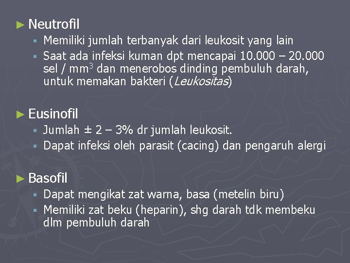 ► Neutrofil § Memiliki jumlah terbanyak dari leukosit yang lain § Saat ada infeksi