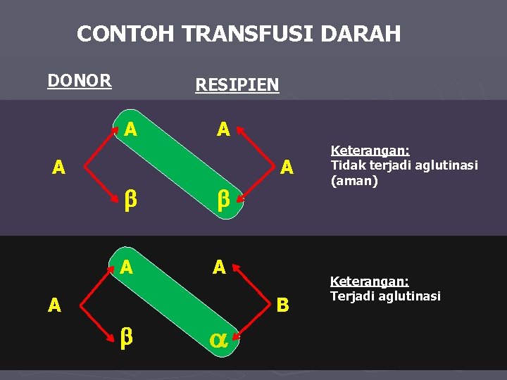 CONTOH TRANSFUSI DARAH DONOR RESIPIEN A A A B Keterangan: Tidak terjadi aglutinasi (aman)