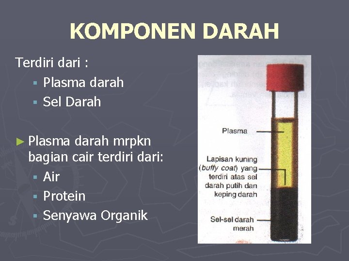 KOMPONEN DARAH Terdiri dari : § Plasma darah § Sel Darah ► Plasma darah