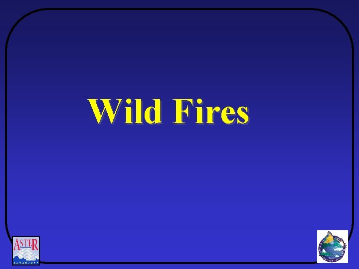 Wild Fires 