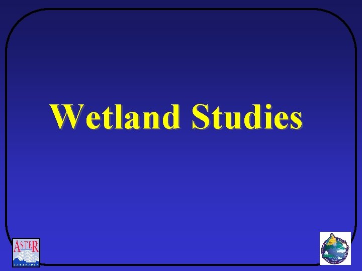 Wetland Studies 