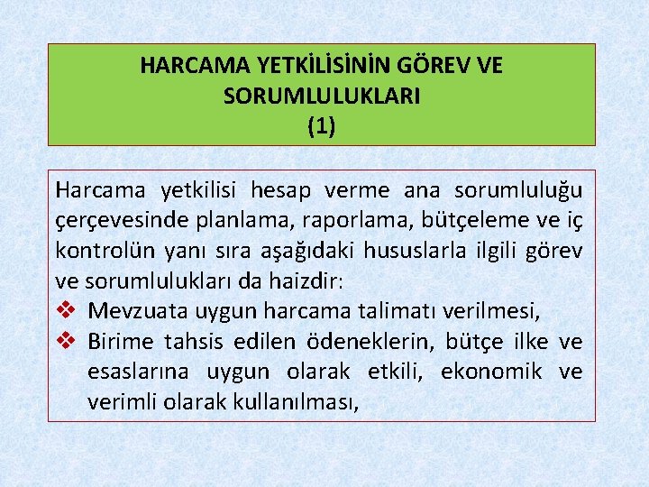 HARCAMA YETKİLİSİNİN GÖREV VE SORUMLULUKLARI (1) Harcama yetkilisi hesap verme ana sorumluluğu çerçevesinde planlama,