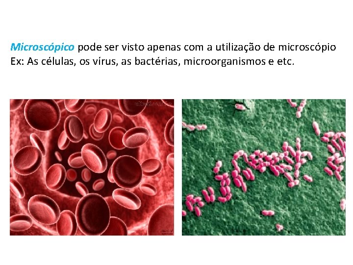 Microscópico pode ser visto apenas com a utilização de microscópio Ex: As células, os