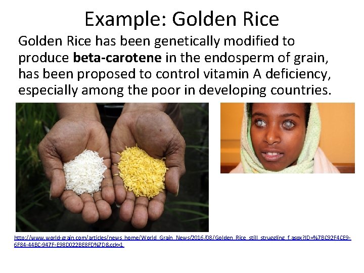 Example: Golden Rice has been genetically modified to produce beta-carotene in the endosperm of