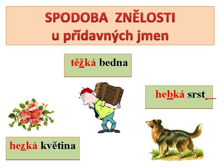 SPODOBA ZNĚLOSTI u přídavných jmen těžká bedna hebká srst hezká květina 