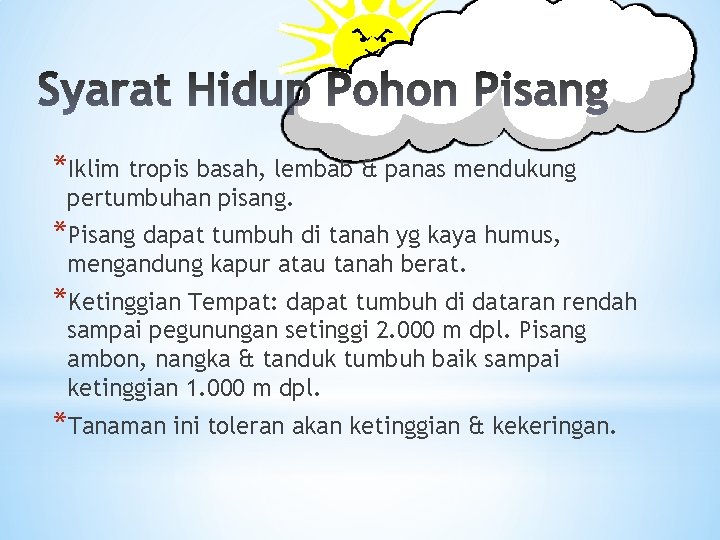 *Iklim tropis basah, lembab & panas mendukung pertumbuhan pisang. *Pisang dapat tumbuh di tanah