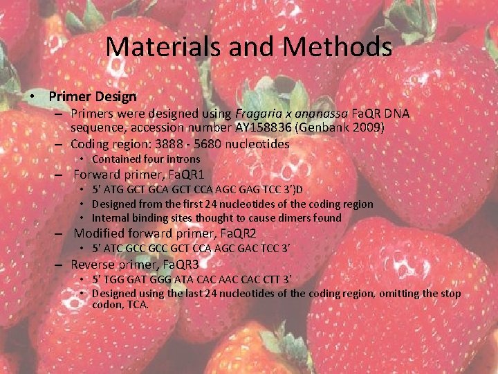 Materials and Methods • Primer Design – Primers were designed using Fragaria x ananassa