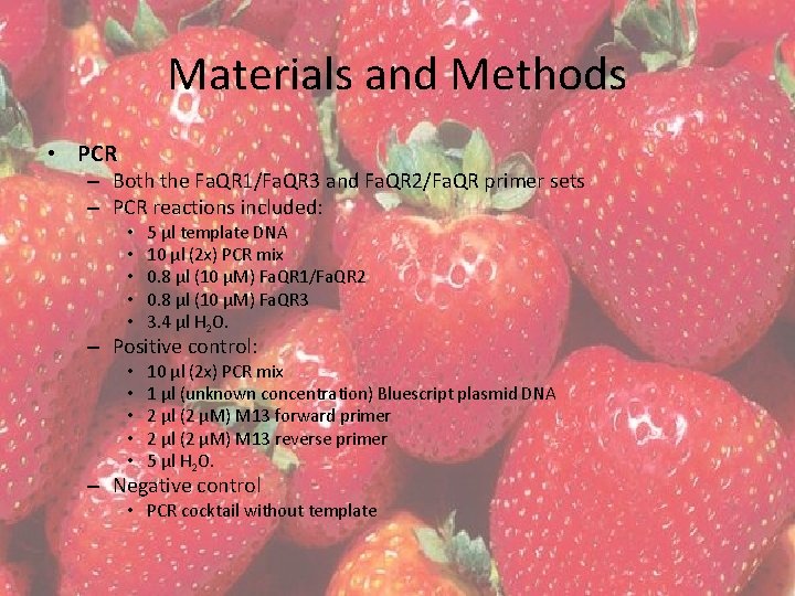 Materials and Methods • PCR – Both the Fa. QR 1/Fa. QR 3 and