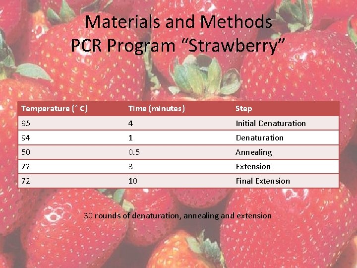 Materials and Methods PCR Program “Strawberry” Temperature (° C) Time (minutes) Step 95 4