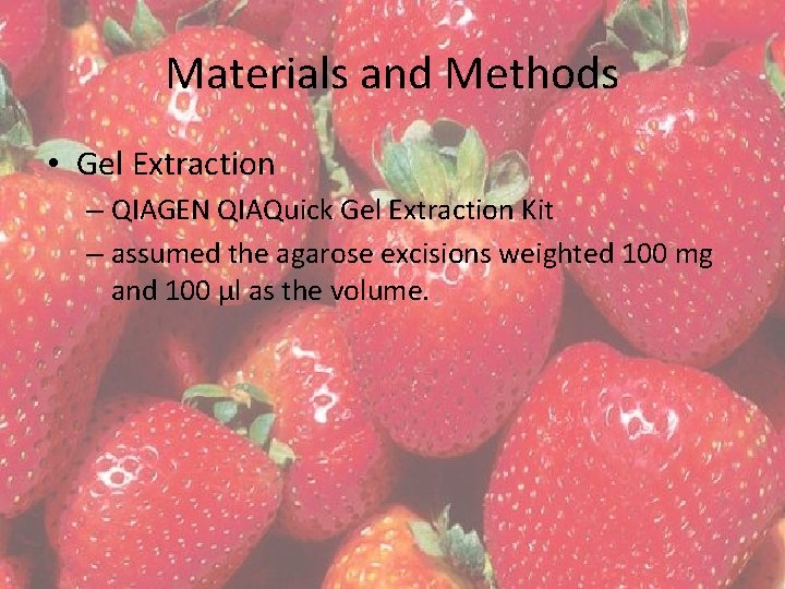 Materials and Methods • Gel Extraction – QIAGEN QIAQuick Gel Extraction Kit – assumed