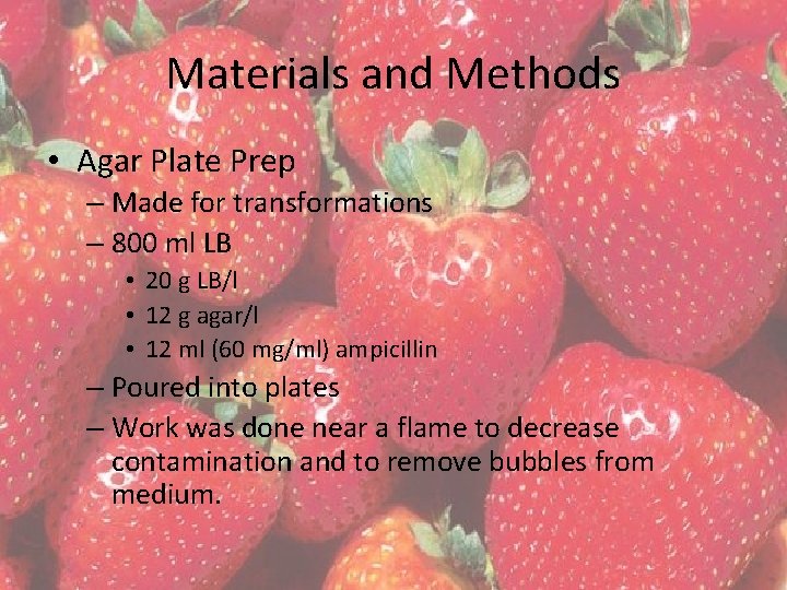 Materials and Methods • Agar Plate Prep – Made for transformations – 800 ml