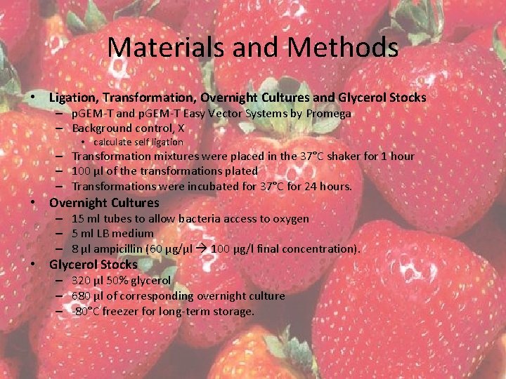 Materials and Methods • Ligation, Transformation, Overnight Cultures and Glycerol Stocks – p. GEM-T