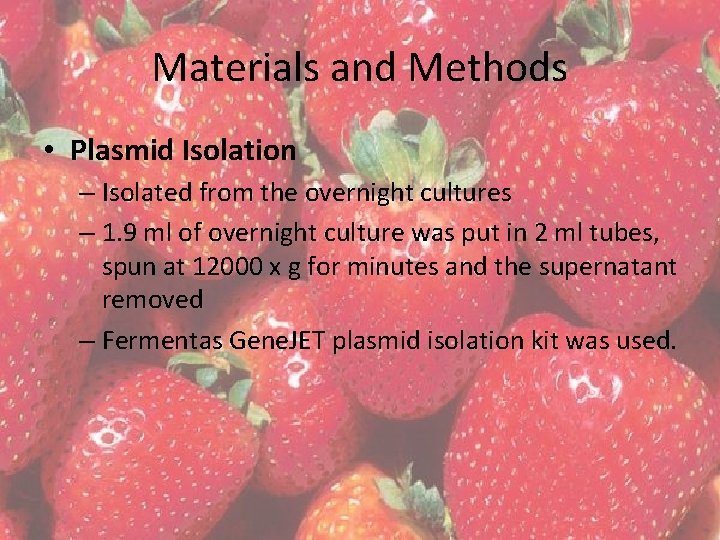 Materials and Methods • Plasmid Isolation – Isolated from the overnight cultures – 1.